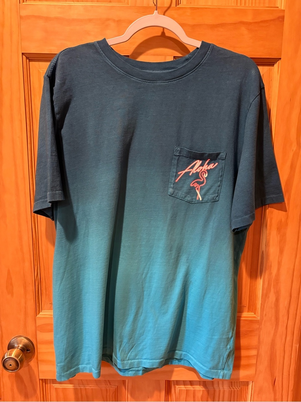 Men's Teal Ombre Chubbies Pocket T-Shirt with Aloha Flamingo size L
